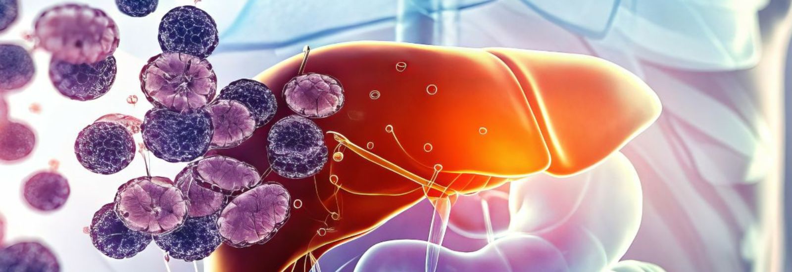 From Discovery to Therapeutics