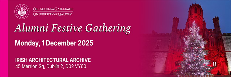 2025 Dublin Christmas Event