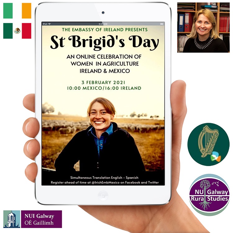 Mexico-Ireland St Brigid’s Day event celebrates women as unsung heroes of agriculture