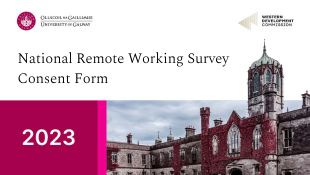 National Remote Working Survey 2023 - Consent Form