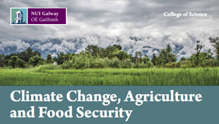 Climate & Food Security Brochure