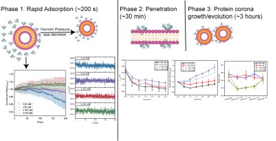 Graphical abstract HW paper