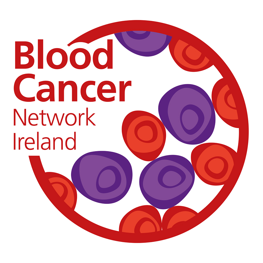 BCNI Logo