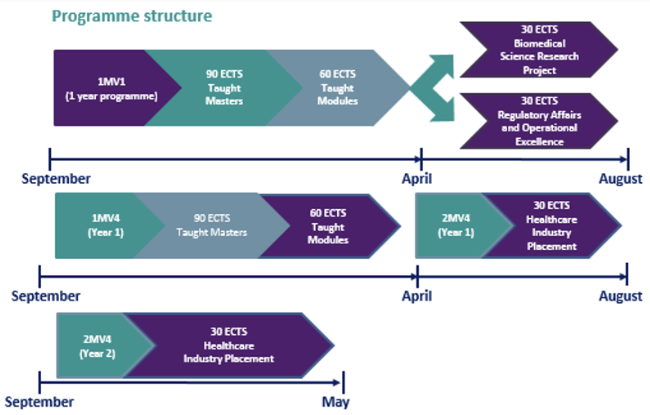 BioSci Structure