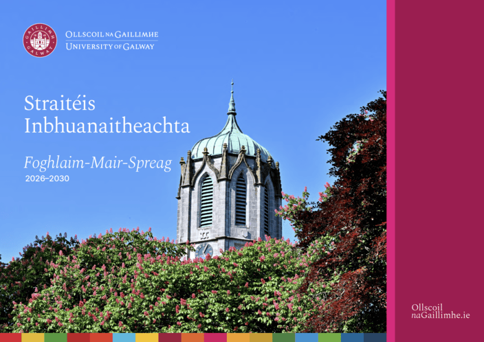 Strait&eacute;is Inbhuanaitheachta 2026-2030