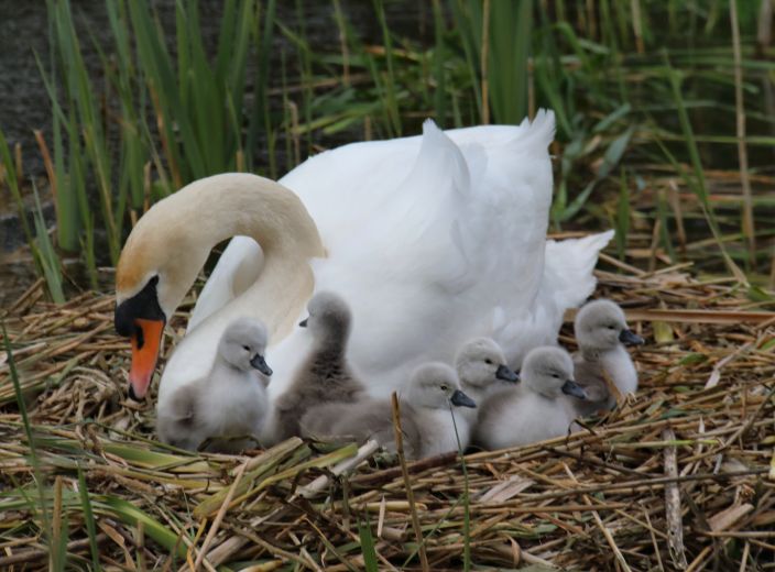 Prompt Payment Quarterly Reports