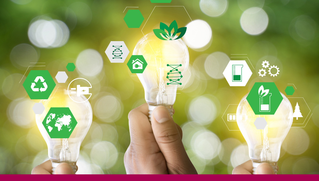 University of Galway surpasses 2030 energy efficiency target