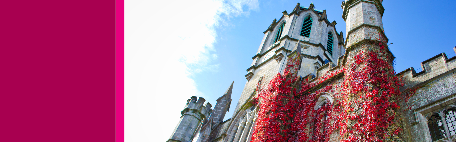 J.E. Cairnes School of Business and Economics