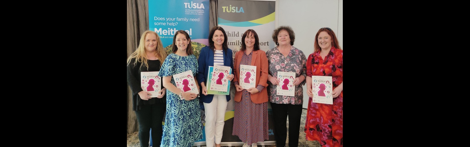 Research Launch: A Review of Meitheal 