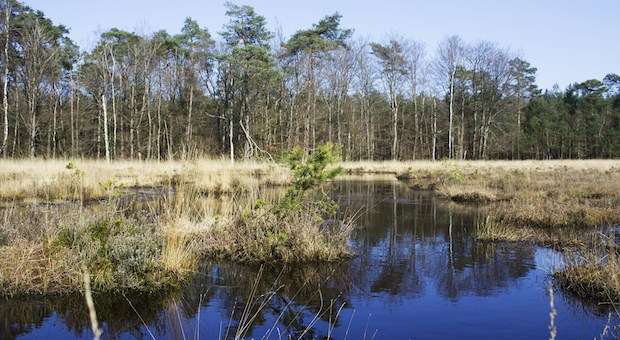 The Care-Peat Project