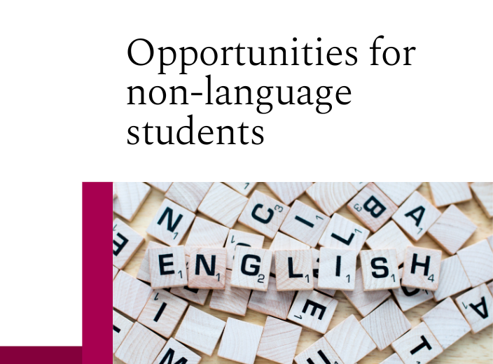 Opportunities for non-language students