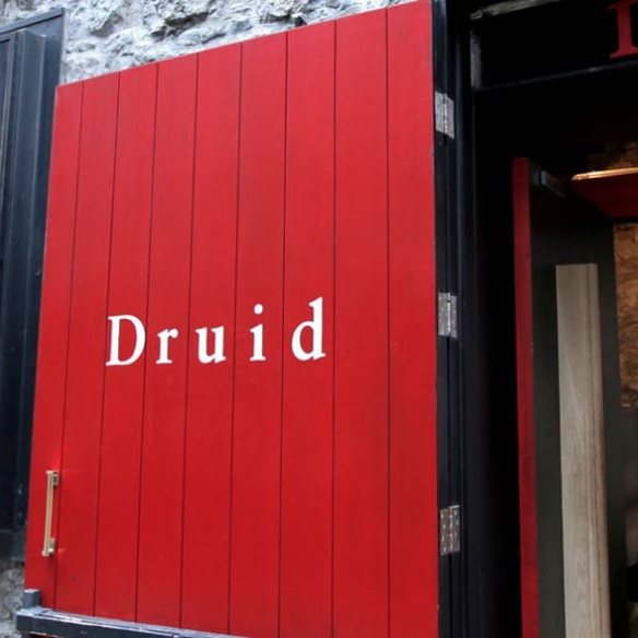 Druid and University of Galway announce 10-year partnership