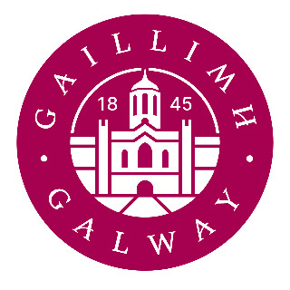 An tOllamh Ri&oacute;na N&iacute; Fhrighil