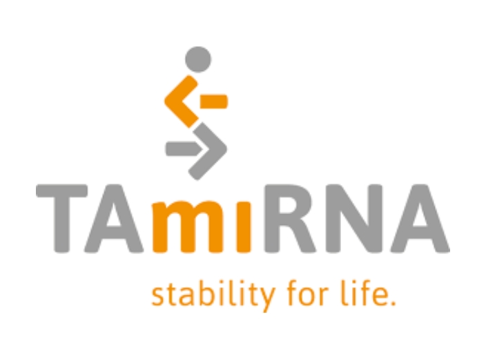 TAmiRNA