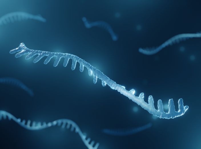 RNA Profiling and Modelling