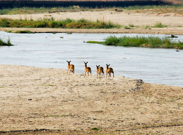 Zambia