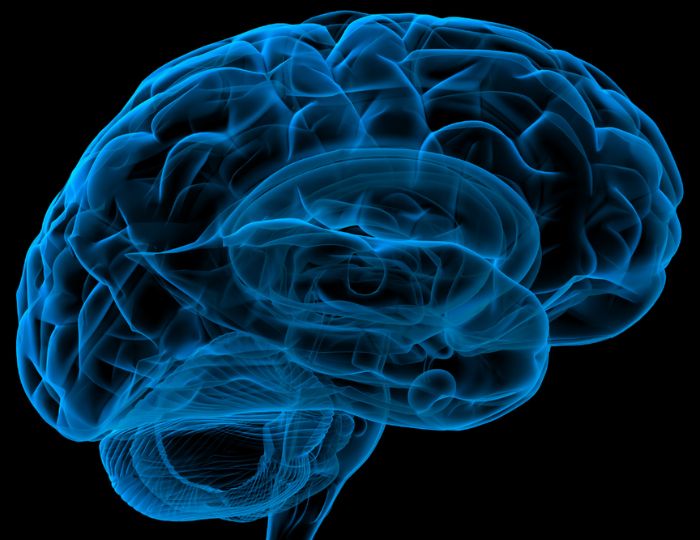 CerebroMachinesTrain Doctoral Network (CMT-DN)
