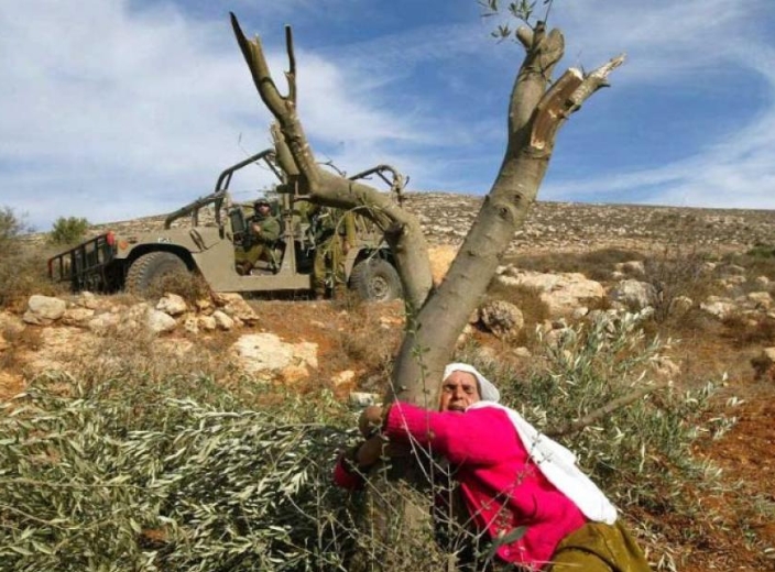 Palestine: International Law, Justice & Accountability Cluster