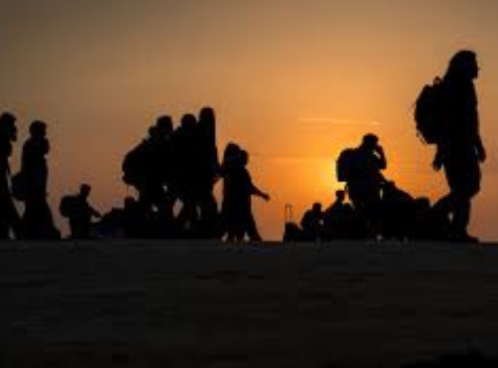 Migration and Refugee Law and Policy Research Cluster