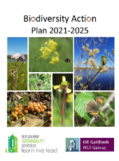 Biodiversity action plan 2021 - 2025 cover image