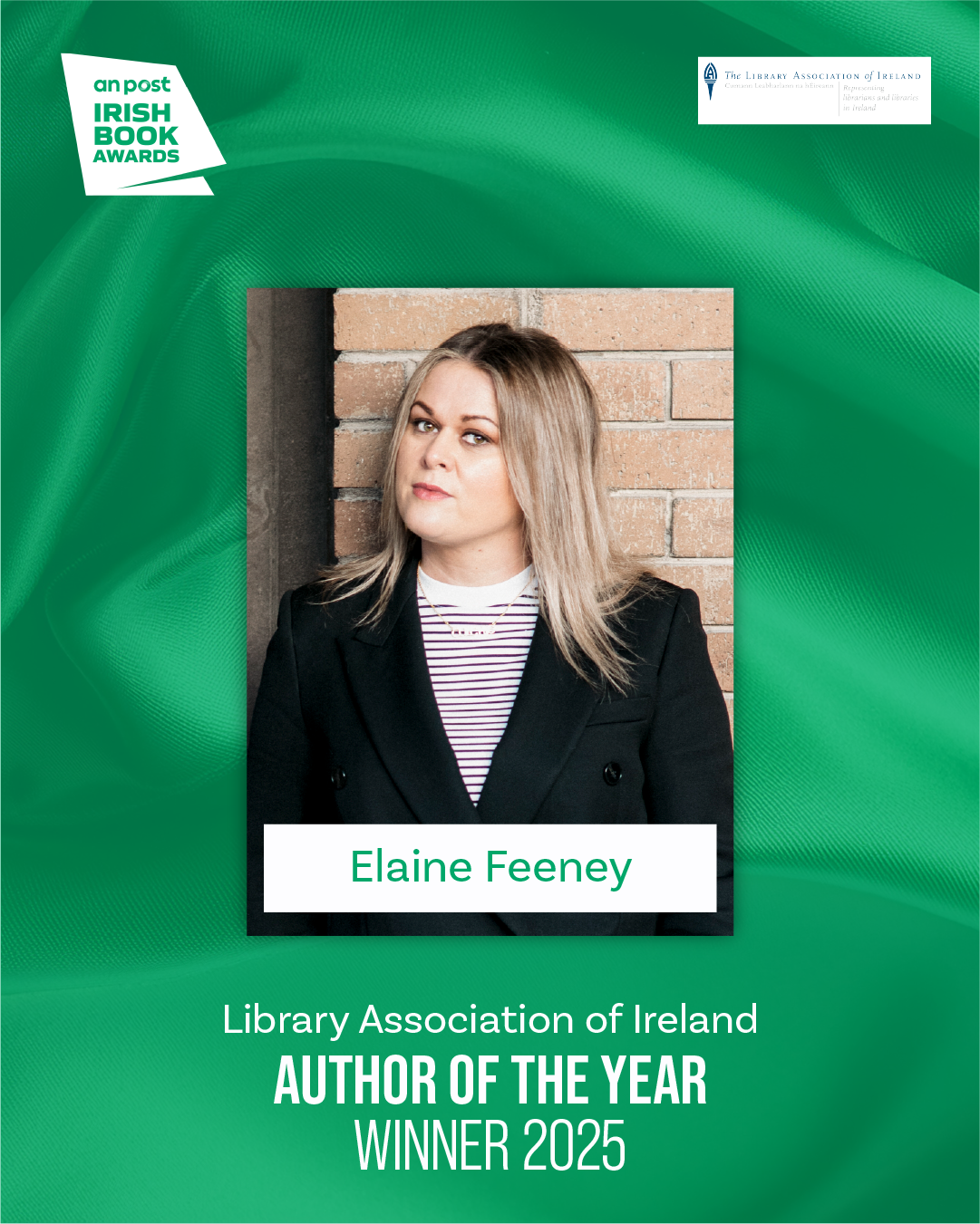 Elaine Feeney, Book Awards
