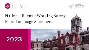 National Remote Working Survey 2023 - Plain Language Statement