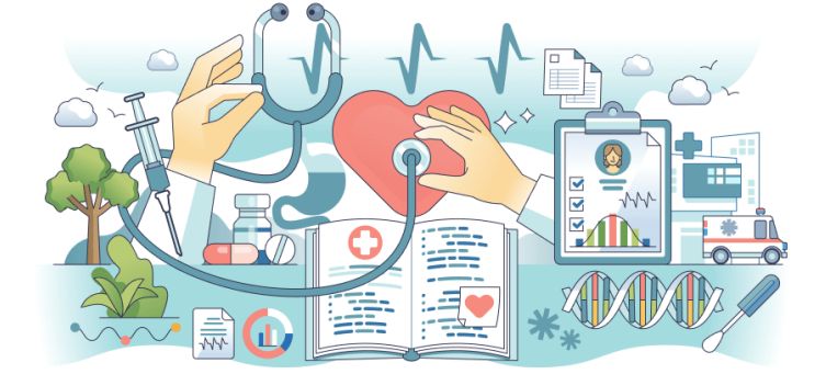 1MB Orientation 2025.2026