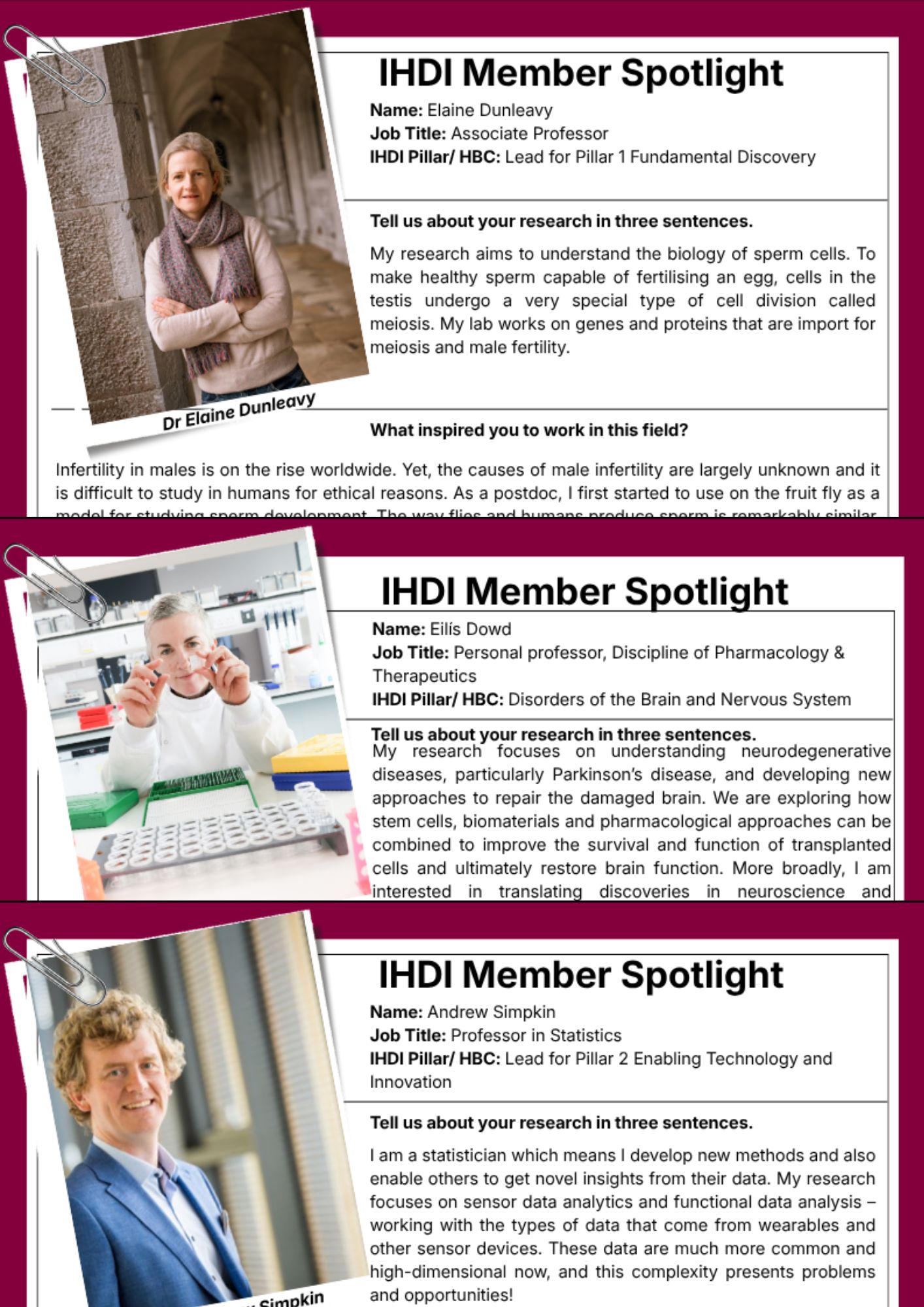 Member Spotlight group