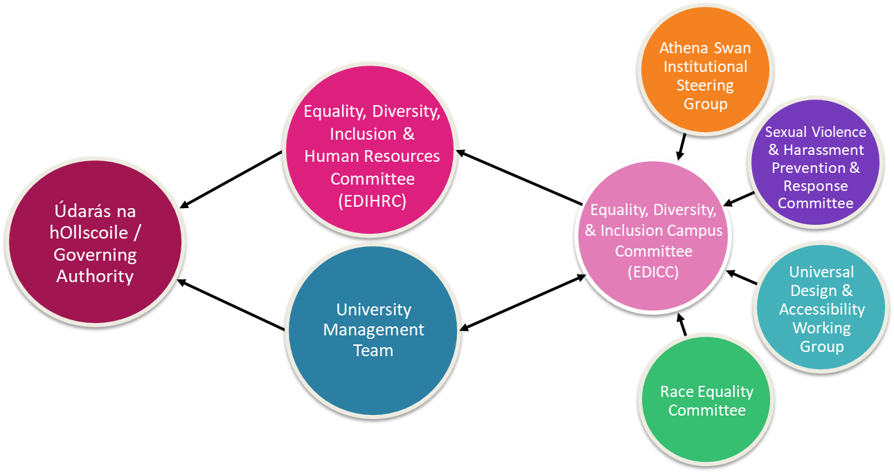 Equality, Diversity & Inclusion Structure - University of Galway