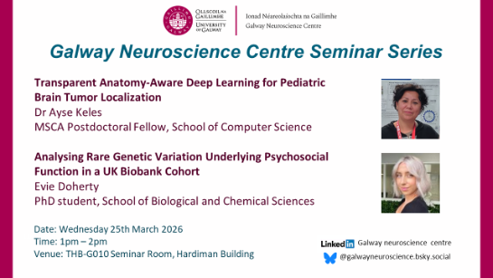 GNC seminar March 2026