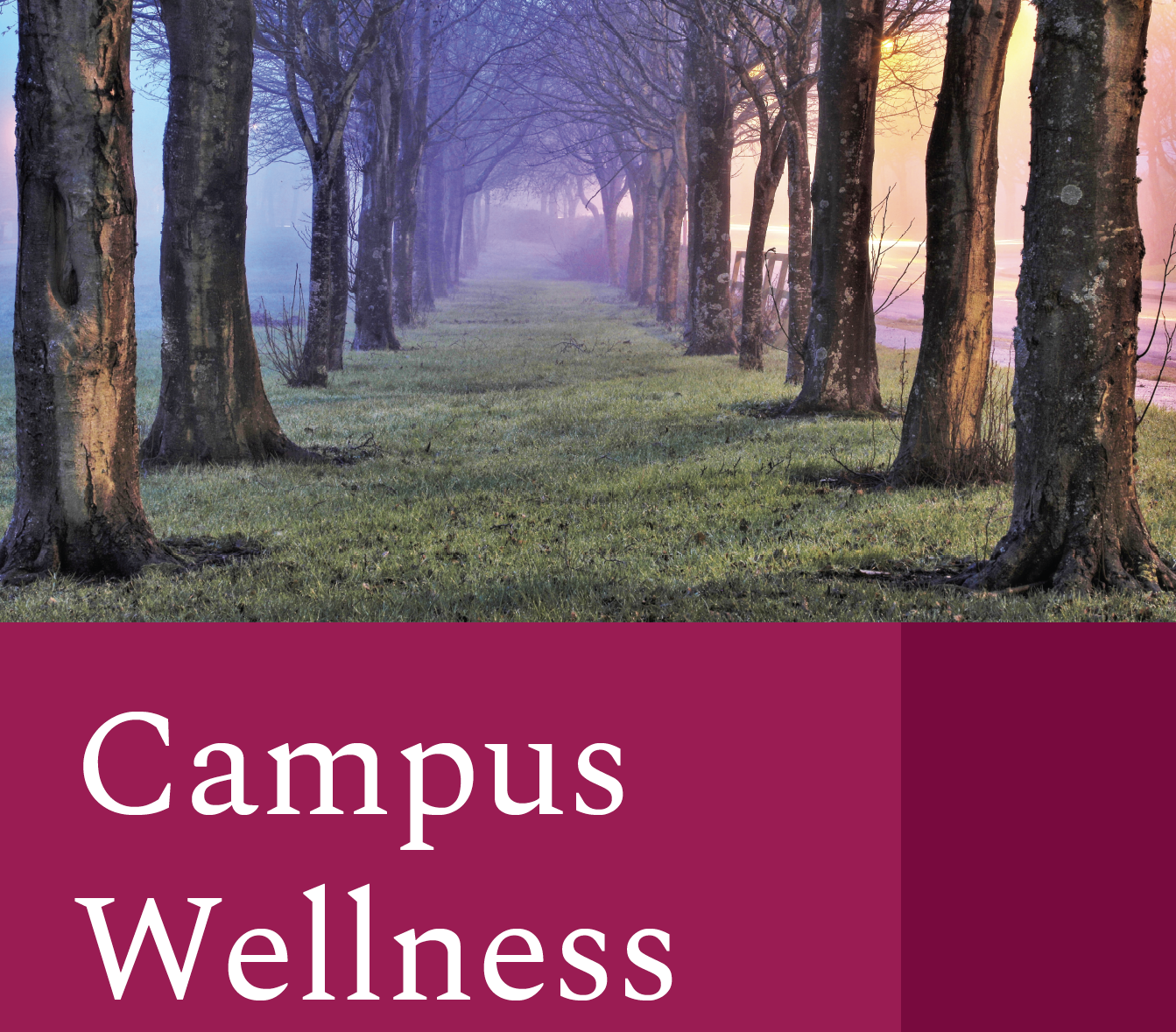 Campus Wellness Banner