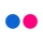 Flickr Icon