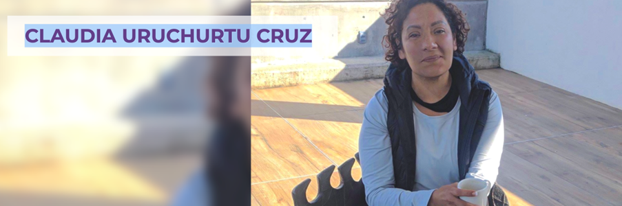 Source: Instituto Mexicano de Derechos Humanos y Democracia