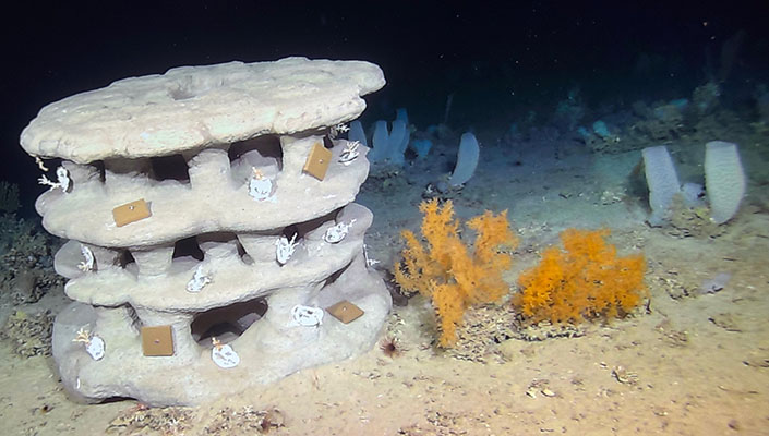 Installed Artificial Reef in 950m of water off the Porcupine Bank. Credit – Ifremer/REDECOR 2026