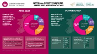 2023 Remote Working Survey Infographics