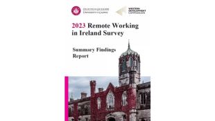2023 Remote Working Survey Key Findings