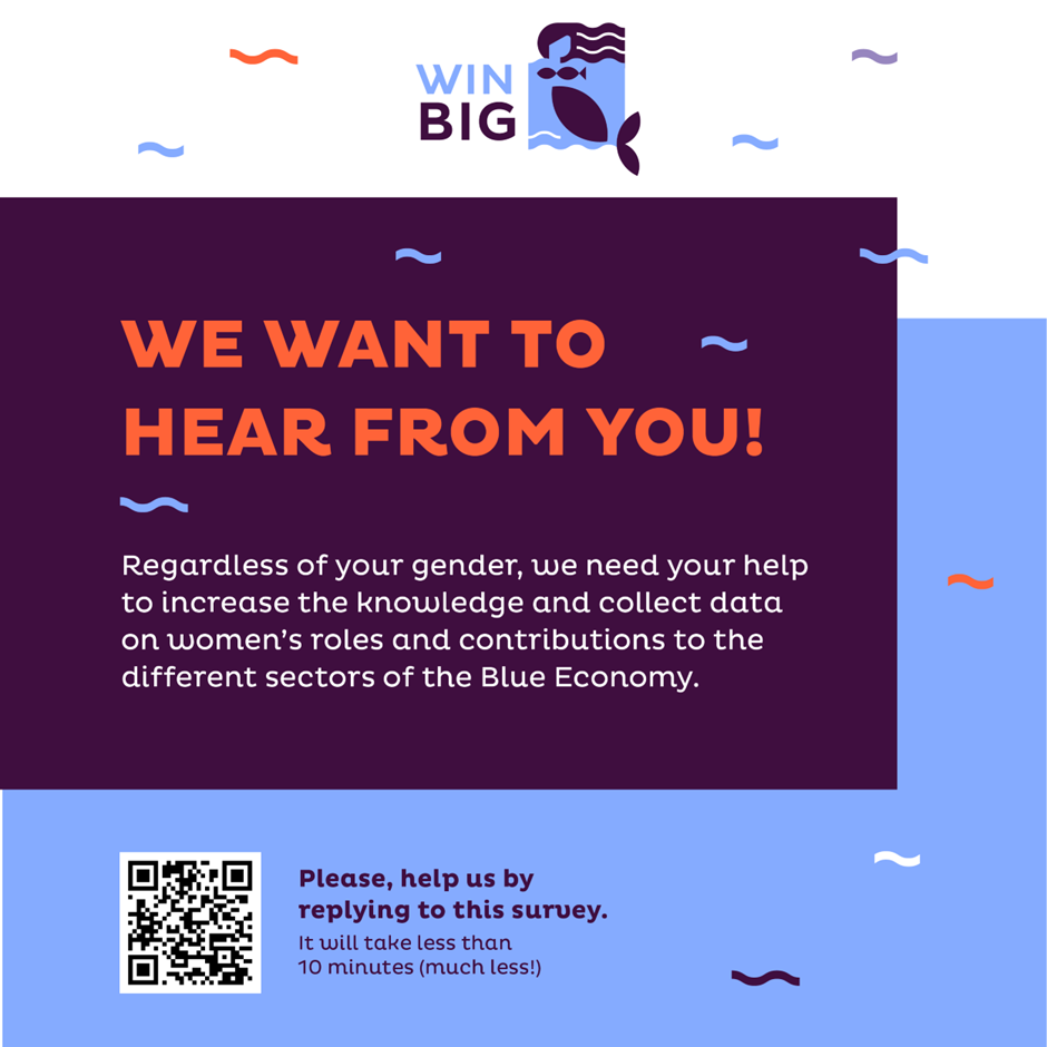 WIN-BIG project survey information