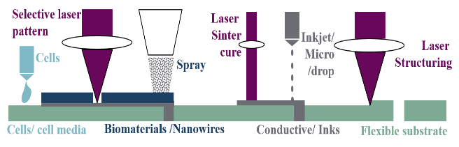 Pilot Line Schematic