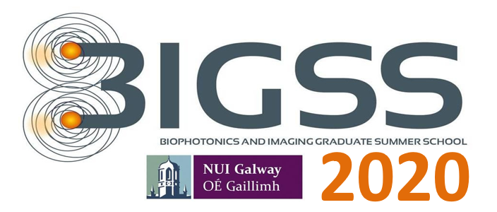 Bigss2020Logo