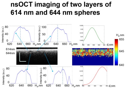 nsOCT