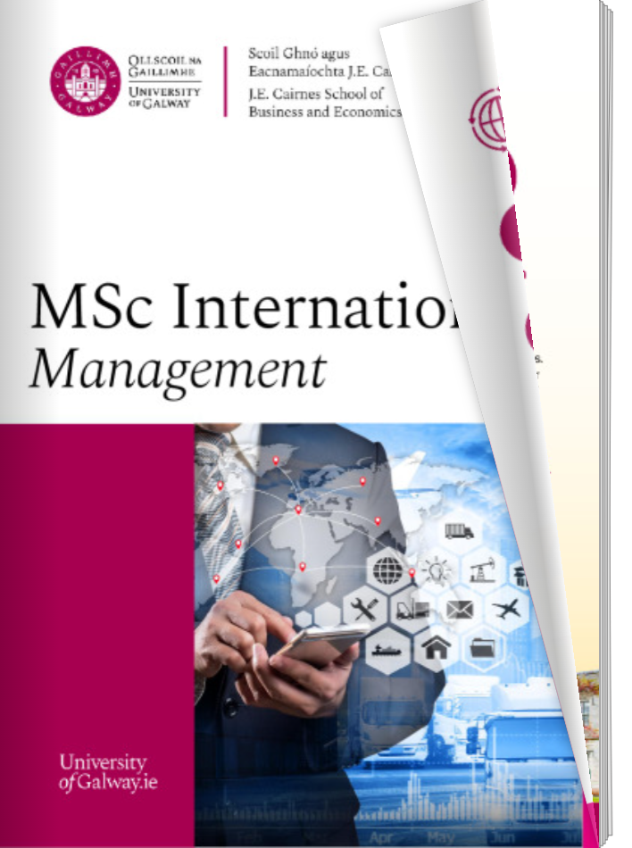 Digital Brochure MSc International Management 2025-26