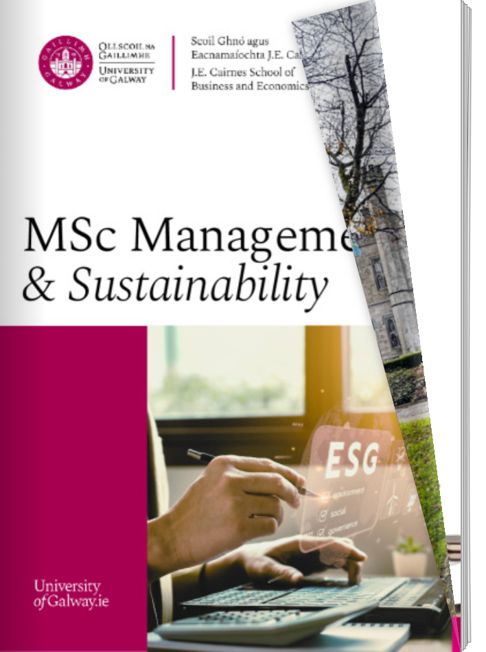 Digital Brochure MSc Management & Sustainability 2025-26