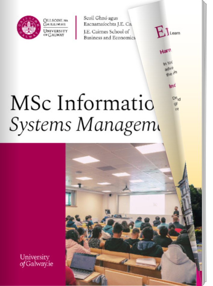 Digital Brochure MSc Information Systems Management 2025-26