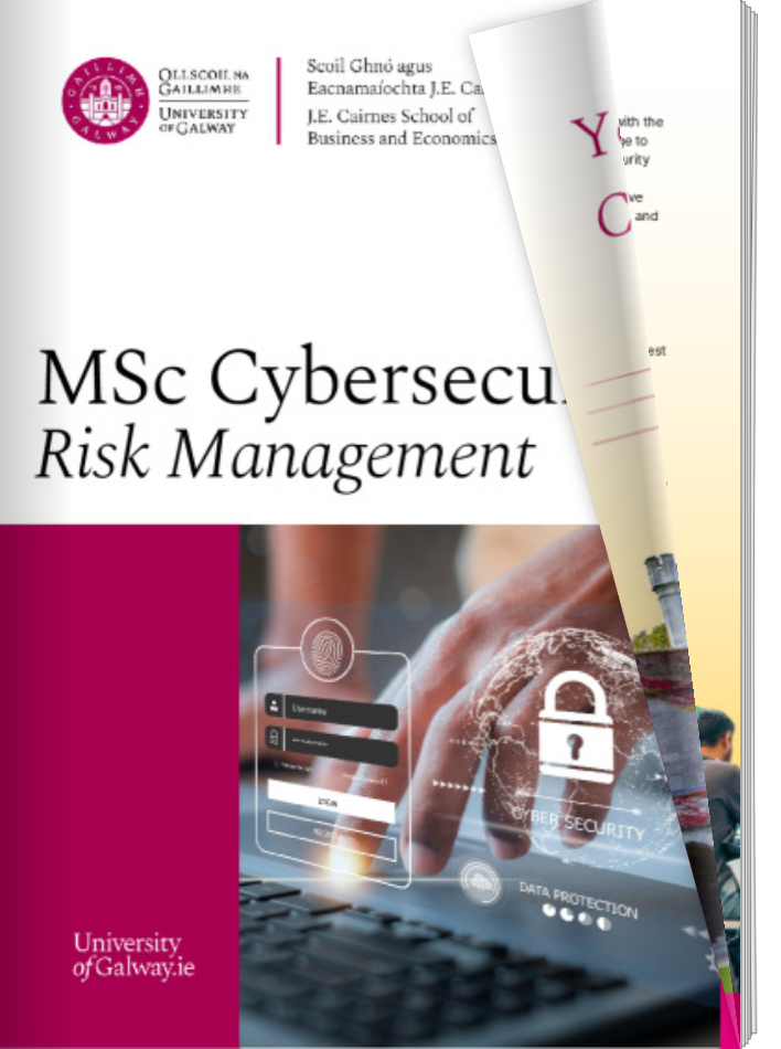 Digital Brochure MSc Cybersecurity Risk Management 2024