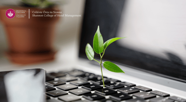 laptop with small plant growing out of it to highlight sustainable learning