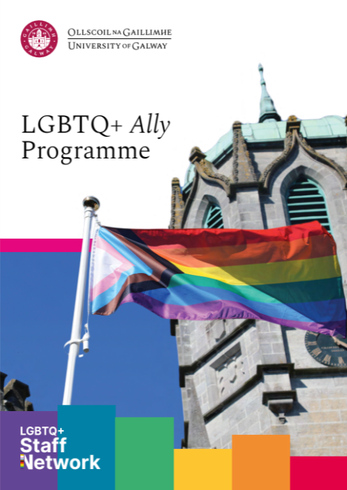 lgbtq ally programme