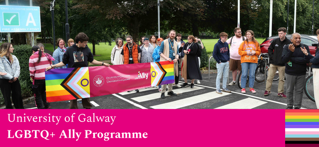 lgbtq+ ally programme unviersity of gawlay