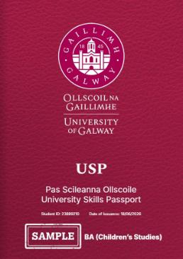 An image of the front page of a USP document with University of Galway logo, students name and ID number on it with USP in large print. and BA Childrens Studies on it, colour is maroon