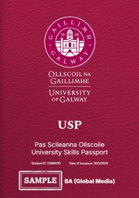 An image of the front page of a USP document with University of Galway logo, students name and ID number on it with USP in large print, and BA Global Media on it. colour is maroon