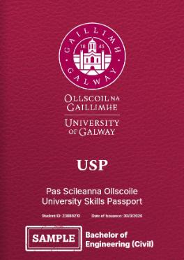 An image of the front page of a USP document with University of Galway logo, students name and ID number on it with USP in large print, and Bachelor of Engineering on it. colour is maroon